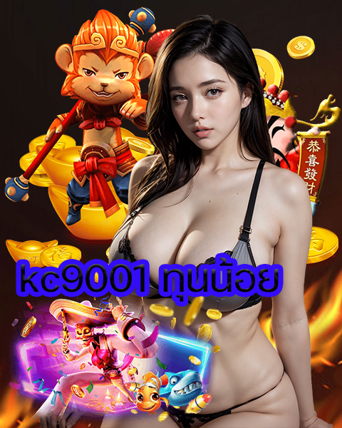 kc9001 ทุนน้อย